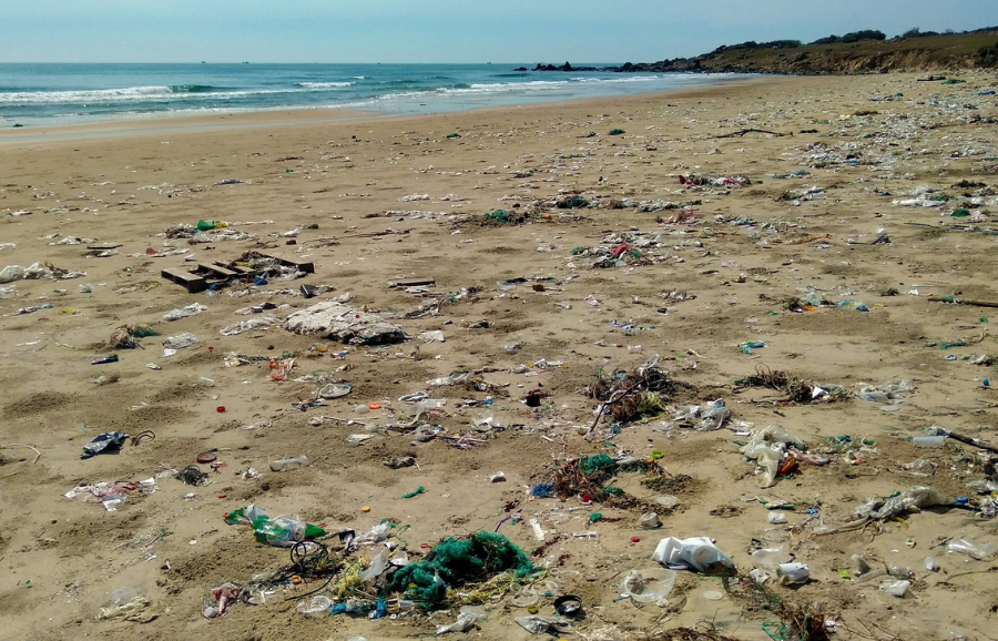 Litter at a beach