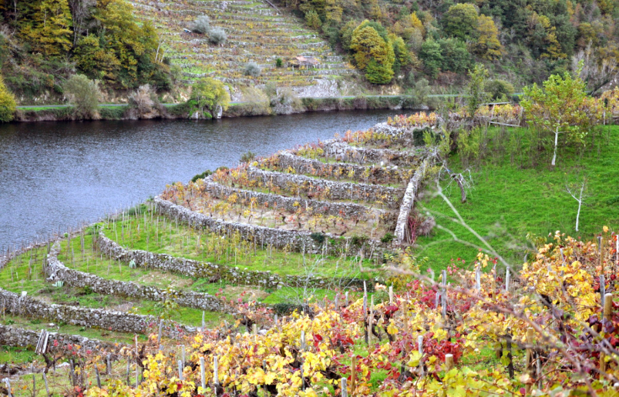 wine-growing region of Ribeira Sacra (Galicia)