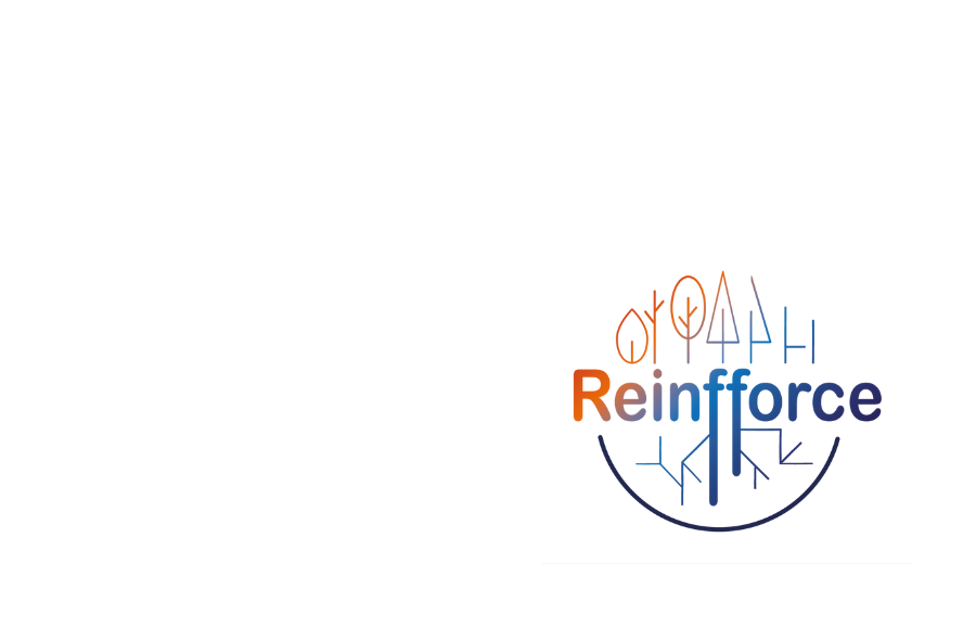 Reinfforce 2 logo